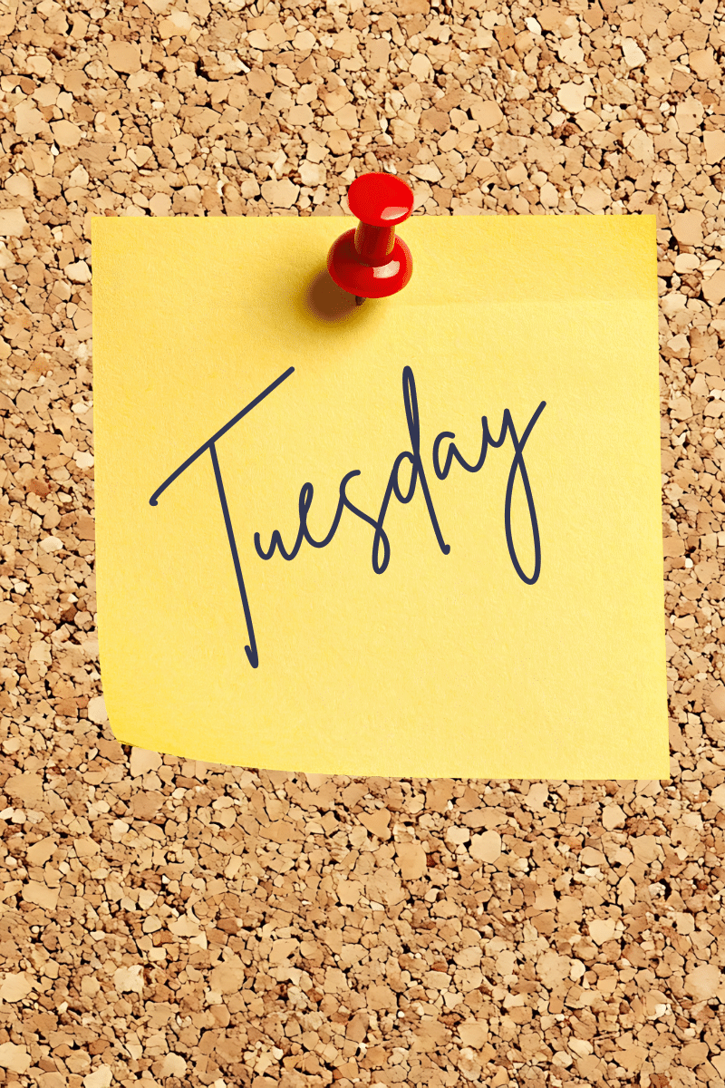 Tuesday blog link